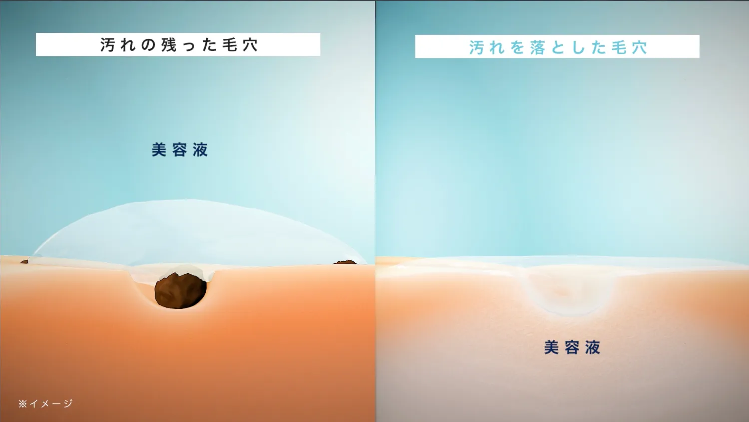 美容液の浸透イメージ図